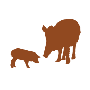 icon of a adult and baby pig silhouette