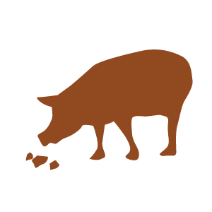 icon silhouette of a feral pig eating food