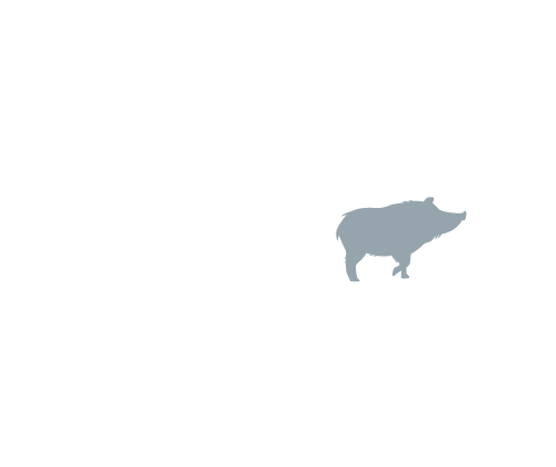 Texas Feral Hog Association Mock Logo