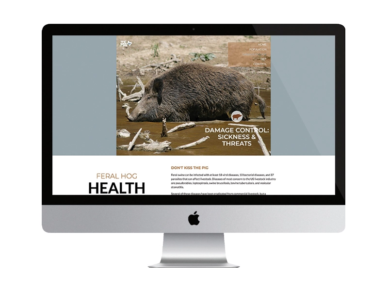 Laptop mockup of Texas Feral Hog website home page