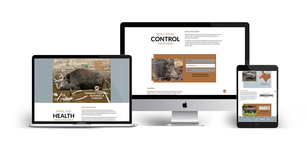 laptop, desktop, and mobile view of the website design